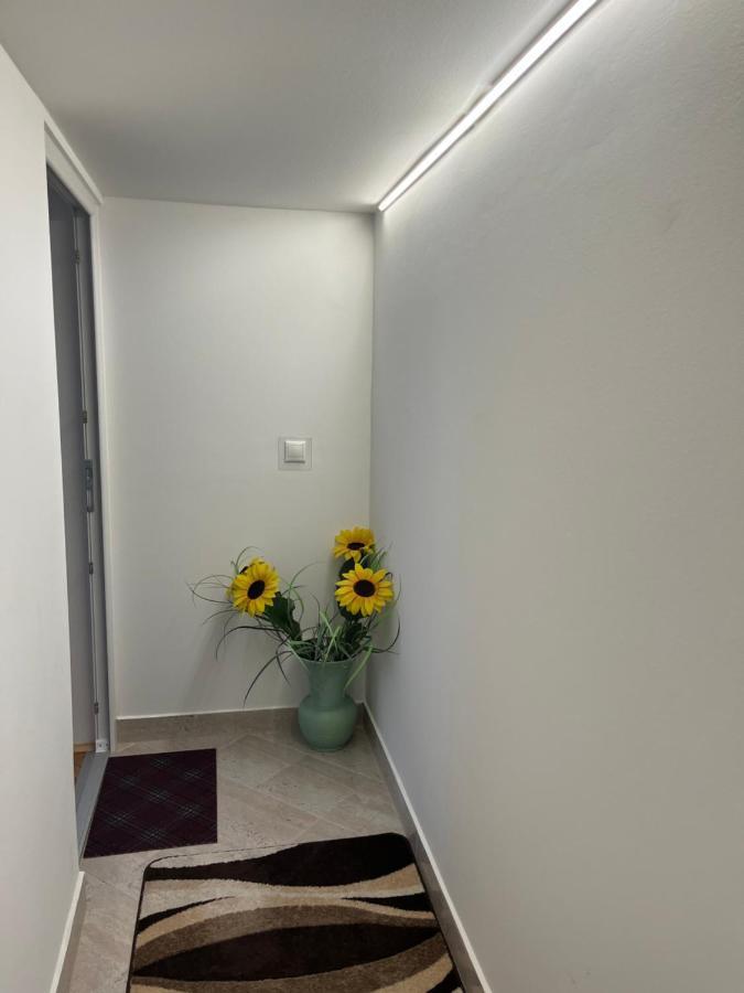 Vito Apartman Eger Extérieur photo